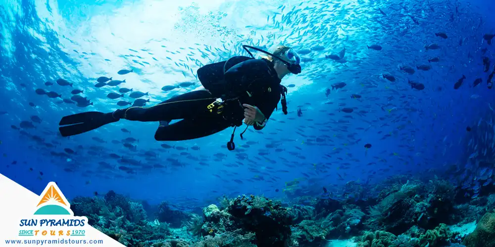 Diving and Marine Adventures